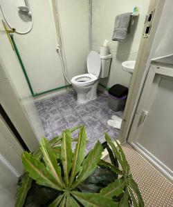 a bathroom with a toilet and a potted plant at Four caravan in AlUla