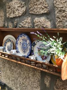a shelf with blue and white plates and plants on it at Abrigo da Estrela in Covilhã