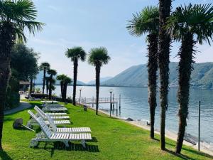 a row of white benches next to the water with palm trees at Seeblick Bissone in Bissone