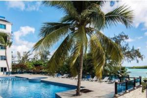 uma palmeira sentada ao lado de uma piscina em Dream Village Boca Chica frente a la playa em Boca Chica