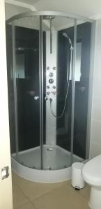 eine Glasdusche in einem Badezimmer mit Toilette in der Unterkunft Curacautín Lodge in Curacautín