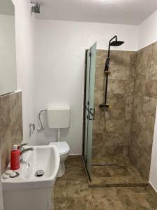 La salle de bains est pourvue d'une douche, de toilettes et d'un lavabo. dans l'établissement Vila AliBi Valiug - 200m from Ponton Casa Baraj, à Văliug