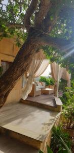 een hangmat onder een boom in een tuin bij Id-Dwejra, Country Residence in Misraħ Suffara