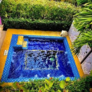 une piscine avec du carrelage bleu dans un jardin dans l'établissement Summer House Inn San Andres, à San Andrés