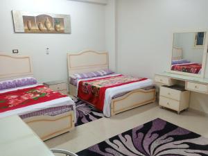 City Center Guest house and Hostel في أسوان: غرفة نوم بسريرين ومرآة