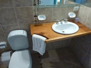 ein Bad mit einem Waschbecken und einem WC in der Unterkunft Cabañas Gnionguis in Villa La Angostura