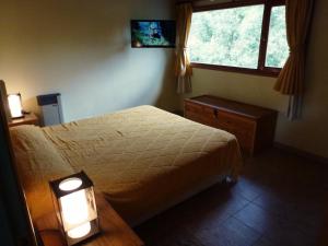 een hotelkamer met een bed en een raam bij Cabañas Gnionguis in Villa La Angostura