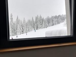 ヤホリナにあるCozy Ski Apartment Jahorinaの雪に覆われた森の景色を望む窓