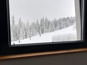 a window with a view of a snow covered forest at Cozy Ski Apartment Jahorina in Jahorina