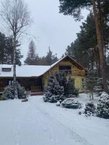 dom z pokrytym śniegiem dachem na dziedzińcu w obiekcie Leśny Czar w Serocku
