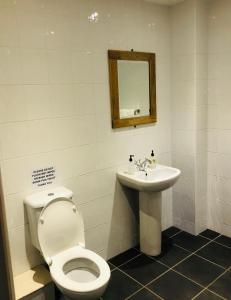 a bathroom with a toilet and a sink at Canons Court Mews in Wotton under Edge
