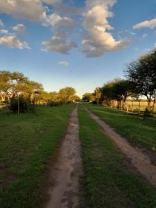 a dirt road in the middle of a field at Estancia San Carlos in Luan Toro