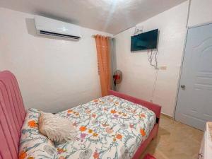 1 dormitorio pequeño con 1 cama y 1 dormitorio con ventilador en Acogedora casa de 2 habitaciones, en Villa Isabela