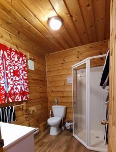 a log cabin bathroom with a toilet and a shower at Juniper Cabin- Waterfront retreat on Mosque Lake in Ompah
