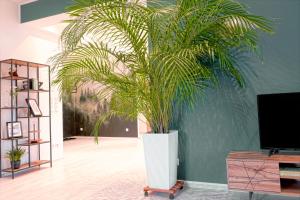 a large palm plant in a room with a tv at HAMA Design Homes Lippstadt in Lippstadt