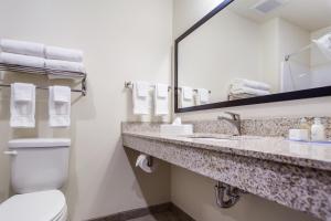 Cobblestone Hotel & Suites - Seward في Seward: حمام مع مرحاض ومغسلة ومرآة