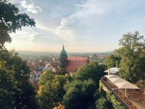 a view of a city with a clock tower at Modernes Loft mit Sandstein-Gewölbe im Zentrum in Pirna