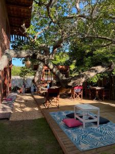 a rug under a tree with a table and chairs at Vulva Caraíva Hostel e Pousada para Mulheres in Caraíva