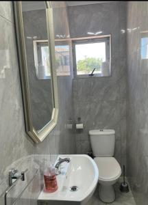 uma casa de banho com um lavatório, um WC e um espelho. em Tia Maria cottage em Cidade do Cabo