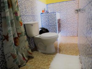 La salle de bains est pourvue de toilettes et d'un rideau de douche. dans l'établissement Hostal Siero, à Moyogalpa