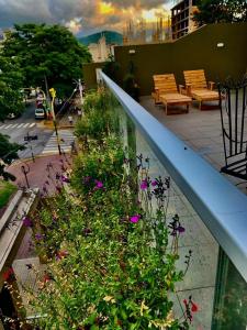 un jardín con flores y bancos en un balcón en Balcon de Belgrano en Salta
