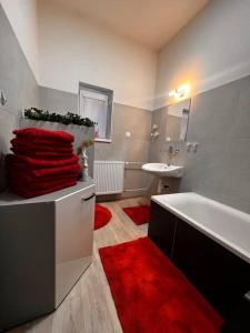 ein Badezimmer mit einer weißen Badewanne und einem roten Teppich in der Unterkunft Apartman - centrum zadarmo parkovanie in Martin