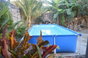 a blue pool in a garden with palm trees at Apartamento Amueblado Mi Casa Caribe, Santo Domingo a 5 minutos del Aeropuerto Internacional de las Americas in Santo Domingo
