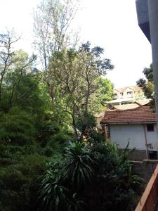 a garden with trees and a house in the background at Smarts residence in Nairobi