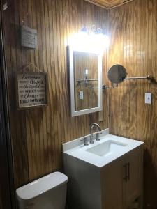een badkamer met een wastafel, een toilet en een spiegel bij The KEMP’S BL ‘ONE in Fosters