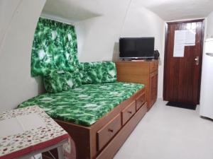 a living room with a green couch and a tv at Cabana lofft 70 em Tucuns Búzios in Búzios