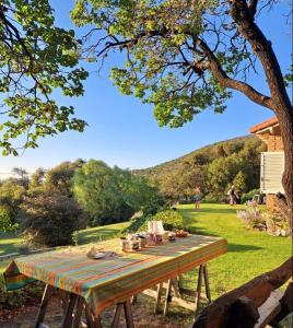 un tavolo da picnic sotto un albero in un parco di Faraway's Bed & Breakfast a Los Cocos