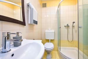 een badkamer met een wastafel, een toilet en een douche bij Holiday house with a parking space Krapina, Zagorje - 20452 in Krapina