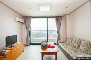 尤九的住宿－南韓河伊爾松公寓，带沙发和电视的客厅