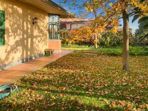 a house with a yard with leaves on the grass at PrimeStay in Nicolosi