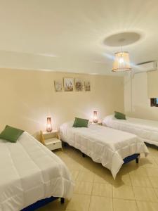 1 dormitorio con 2 camas y lámpara de araña en Blanc Hotel Boutique en Salta