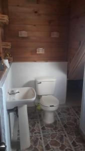 La salle de bains est pourvue de toilettes et d'un lavabo. dans l'établissement Yatzil, à La Trinitaria