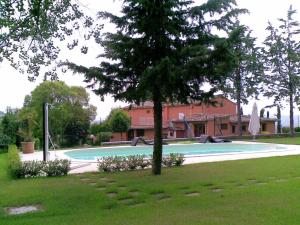 a large swimming pool with a tree in a yard at Belvilla by OYO Quattro Orcia in Celle sul Rigo