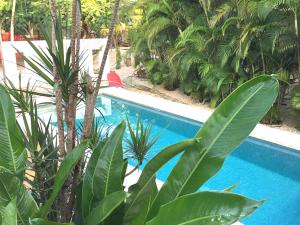 Huacas的住宿－Cote Pacific Casitas，一座种植了棕榈树的蓝色游泳池