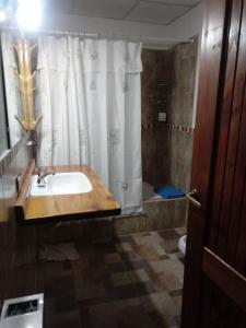 y baño con lavabo y ducha. en Yireh en Esquel