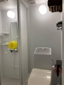a white bathroom with a toilet and a mirror at はるの空 in Biei