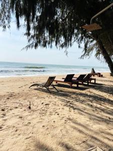 a row of benches sitting on the beach at Mumsa Beach Resort & Restaurant in Ban Huai Yang