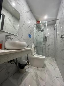 uma casa de banho com um WC, um lavatório e um chuveiro em DT Hotel Hai Phong em Hai Phong