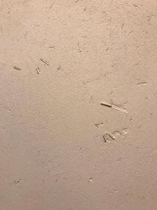 a beige wall with footprints in the sand at 檸檬草ー奄美の自然の香る宿ー in Amami