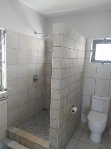 a bathroom with a shower with a toilet and a window at Villa Leocia in Beau Vallon +9 photos