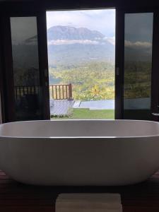 山景或在旅馆看到的山景