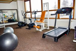 Fitness centrum a/nebo fitness zařízení v ubytování Hotel SOREA HUTNÍK I.
