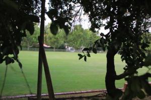 Vườn quanh Wampex guest house +10 ảnh
