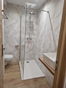 a bathroom with a shower with a toilet and a sink at Logement Ajaccio Proche centre-ville Parking Gratuit in Ajaccio +6 photos