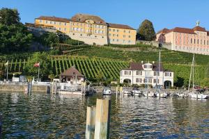 Naturlandskabet i nærheden af lejligheden