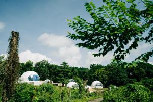 três cúpulas num campo com árvores ao fundo em Group Dome Glamping w/ Private Hotspring 